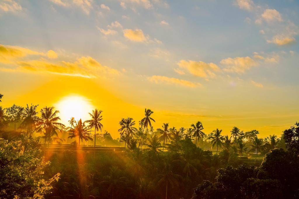 Griya Sriwedari Hotel Ubud Kültér fotó