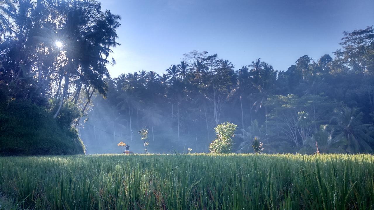 Griya Sriwedari Hotel Ubud Kültér fotó