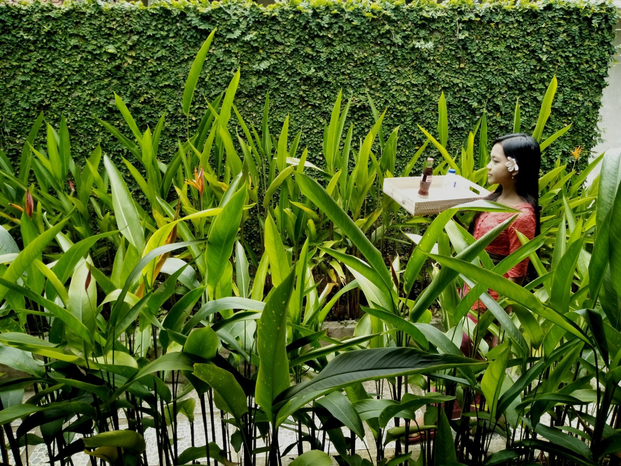 Griya Sriwedari Hotel Ubud Kültér fotó
